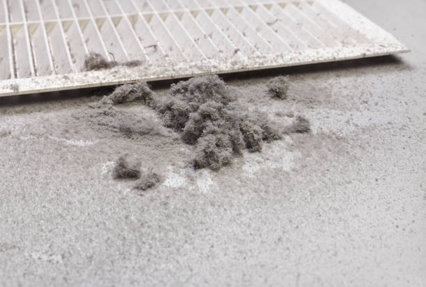 Best Duct Cleaning for Homes  in Roanoke, IN