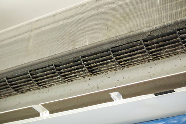 Best Residential Air Duct Cleaning  in Roanoke, IN