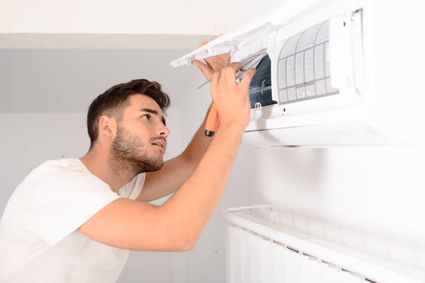 Best Residential Air Duct Cleaning  in Roanoke, IN